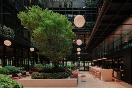 Тбилиси, встречай — The Telegraph!