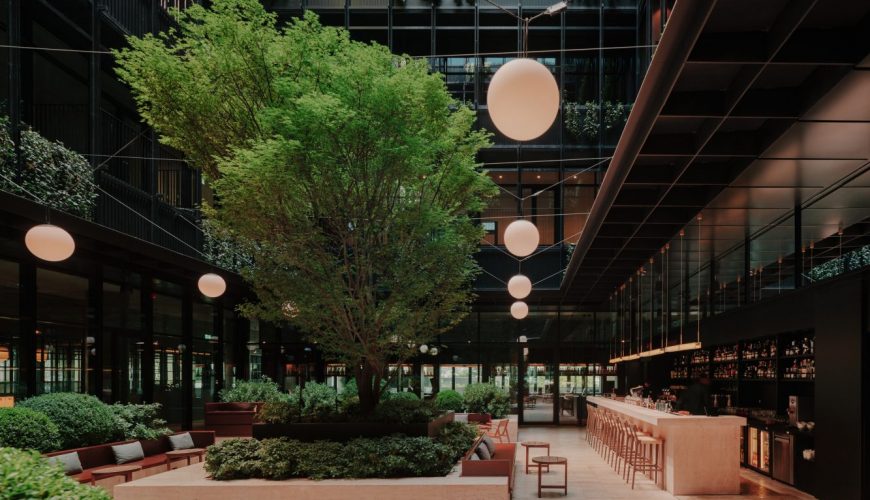 Тбилиси, встречай — The Telegraph!