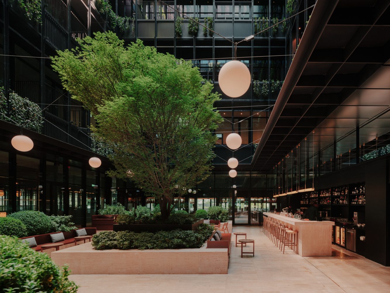 Тбилиси, встречай — The Telegraph!