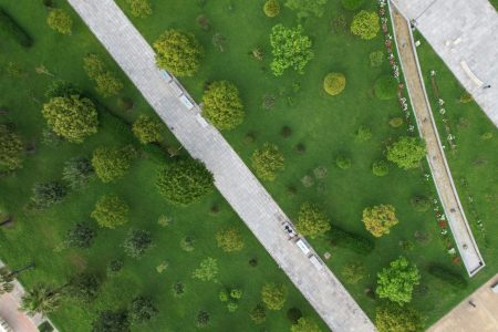 В Батуми открылся новый городской парк — ещё одно место для прогулок и вдохновения